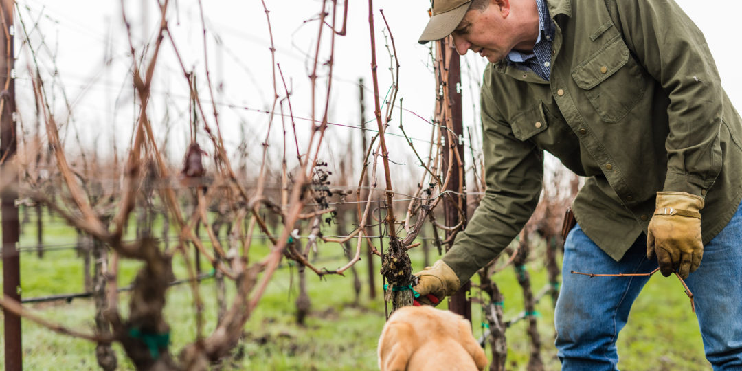 Dave in vineyard with dog